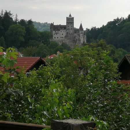 Pensiunea Transilvania Lodge Bran  Exterior photo