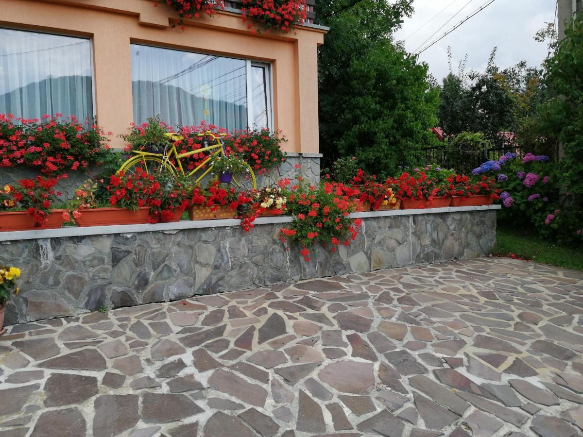 Pensiunea Transilvania Lodge Bran  Exterior photo