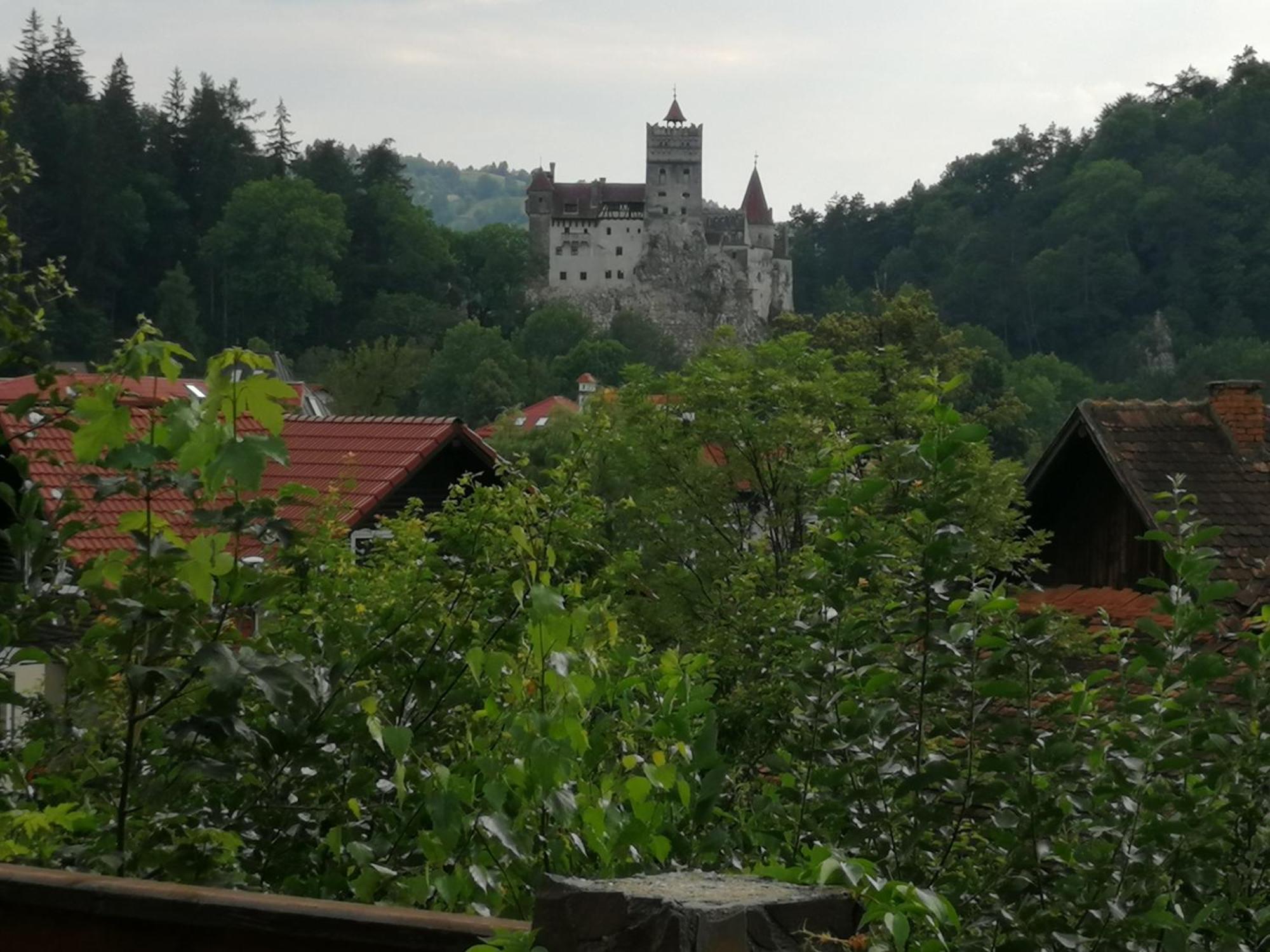Pensiunea Transilvania Lodge Bran  Exterior photo